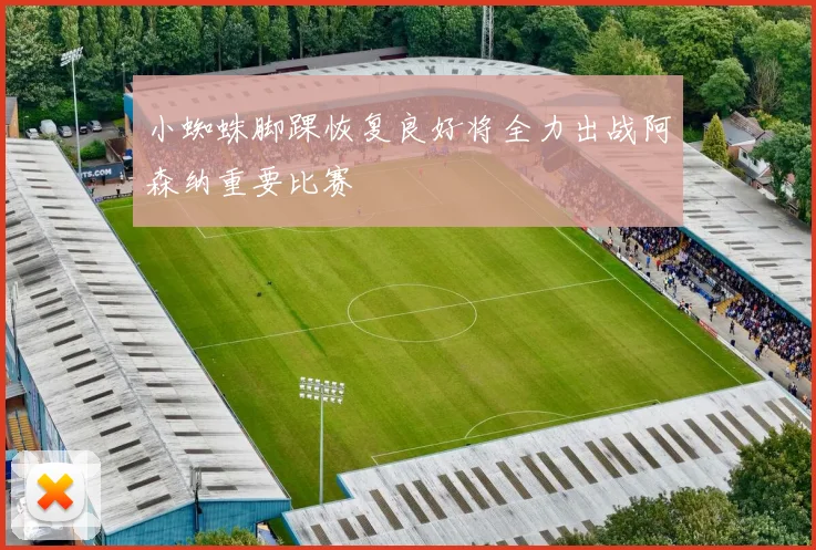 小蜘蛛脚踝恢复良好将全力出战阿森纳重要比赛